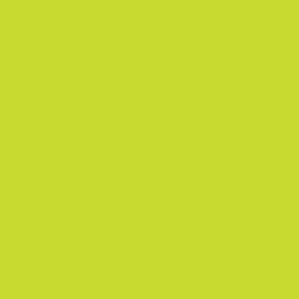 A0030 Siser Lime