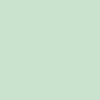 ST0068 Mint (STRETCH)